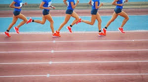 稳健是不是胆小？（稳健等于胆小吗？）